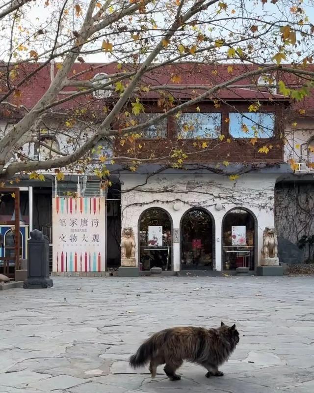 博物FUN | 观复之道：中国首家私立博物馆的“逆生长”密码