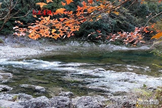 那山那水那红叶，你一定没有见过的秋日美景