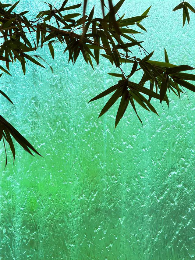 朦胧中坠入一场夏梦🍃 ​