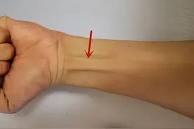 人类正在消失的9个器官，看看哪个器官在你身上已经没有了图片