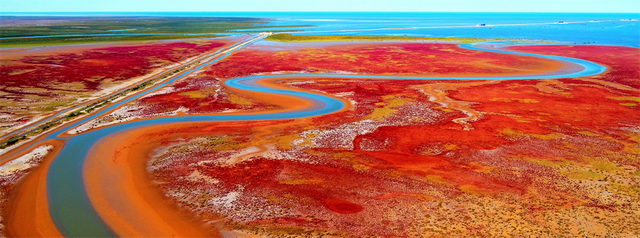 来东营，从从容容游刃有余！