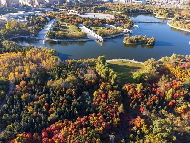 别老盯着南方枫叶乌桕，东北这地方也有你苦寻的秋色美！