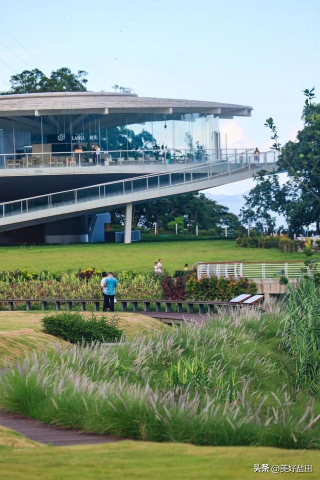 二刷、三刷……遛娃党解锁恩上湿地新玩法！