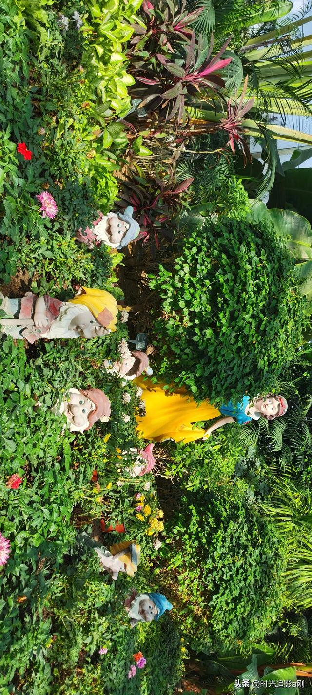 玻璃穹顶下的生活诗意！