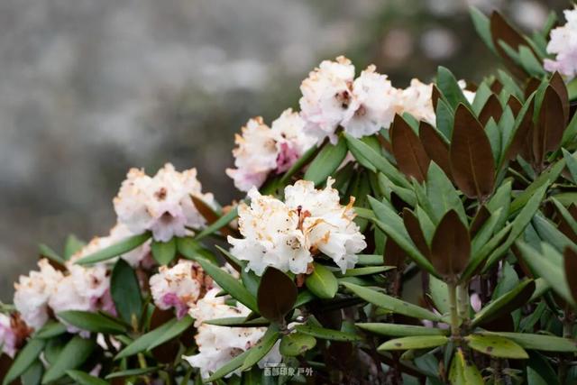 游客稀少的冬天，反而才是西藏旅行的天花板？