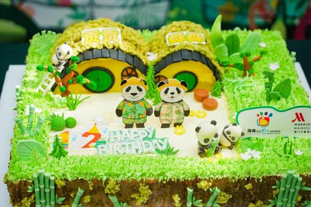 海南热带野生动植物园庆生熊猫兄弟暨国际熊猫粉丝节启幕