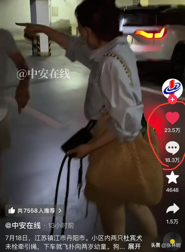 丹阳车库杜宾犬后续！报警却被要求删除视频，狗主人硬刚网友！