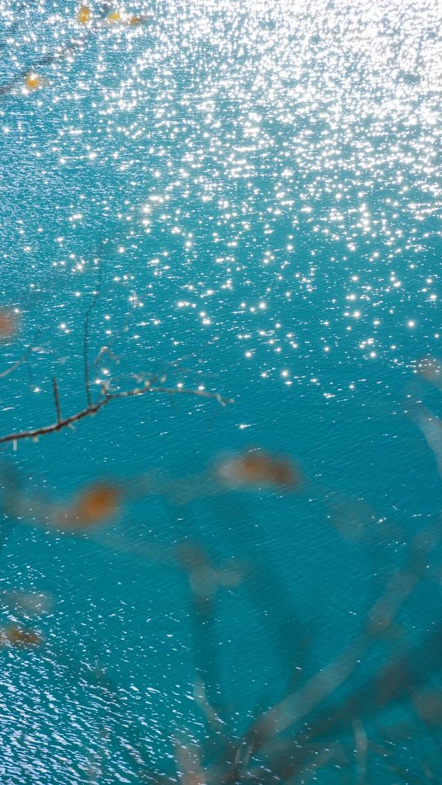 【今日九寨沟】秋季彩林最后的盛宴，明年再见！