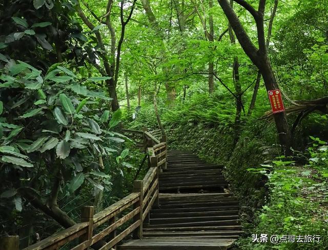 成都难得的清凉徒步胜地，在都江堰隔壁，不要门票，超级凉爽。