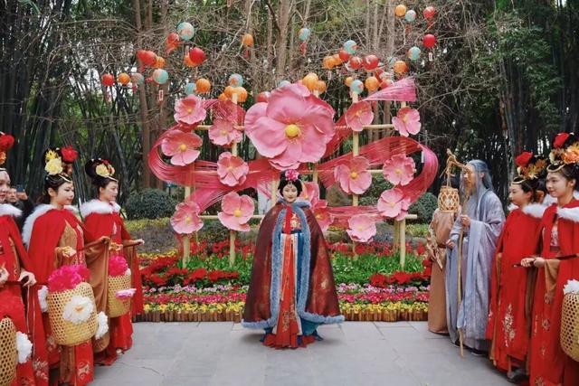 这个春节，望江楼公园“梅梅”出圈