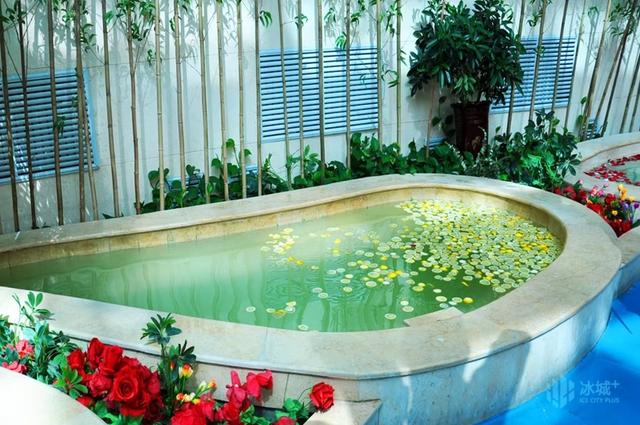 泡汤池、赏雪景，宾县“寒地温泉”暖意迎宾