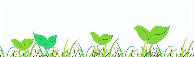 瘦了20斤才懂：早上吃快碳水，晚上吃慢碳水，瘦得是真快！