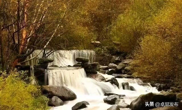 康多峡秋景：一场不可错过的视觉盛宴