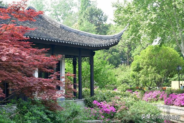 常州｜严重低估的小众一日游，照着走就对了