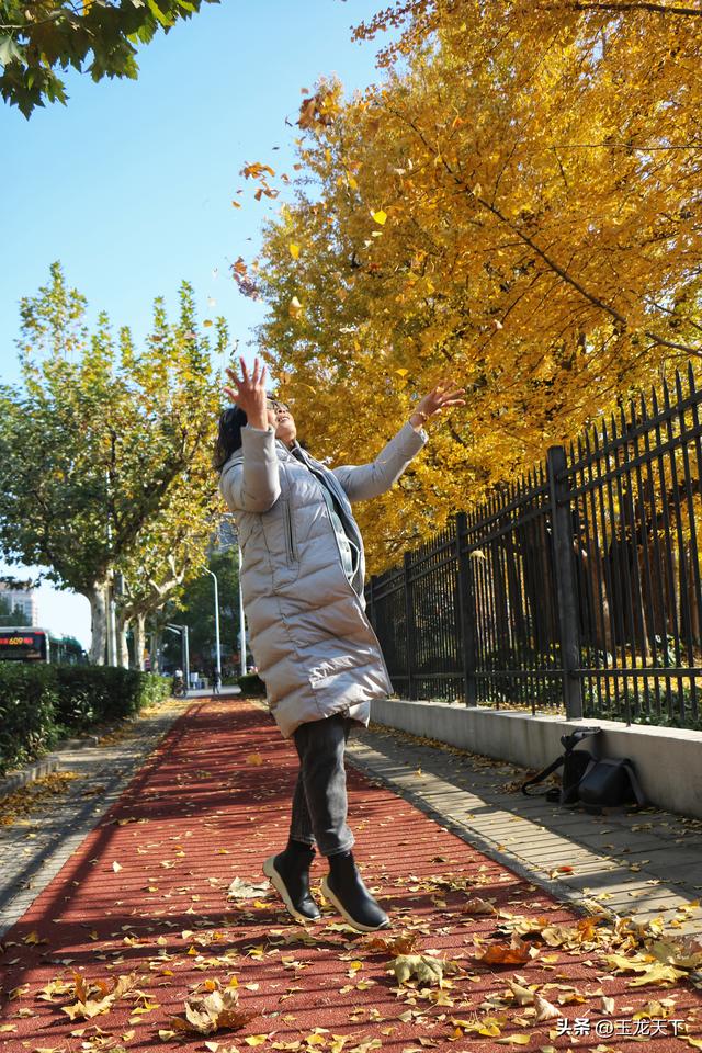 散文丨古银杏树下