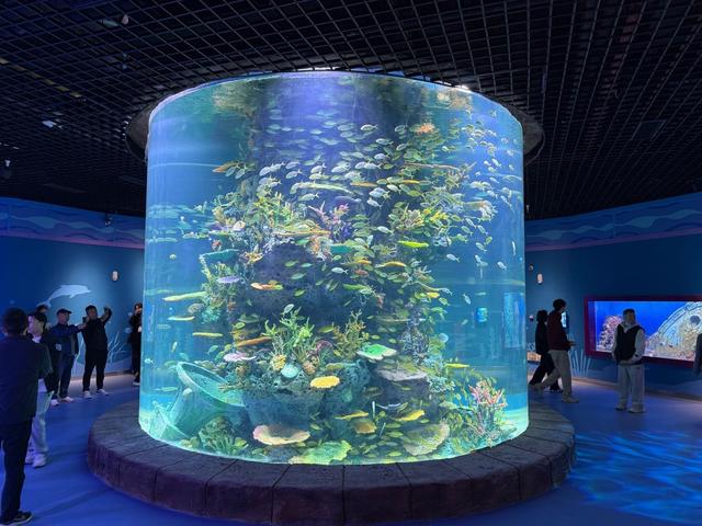 全国首个！成都熊猫海洋公园3月18日试营业