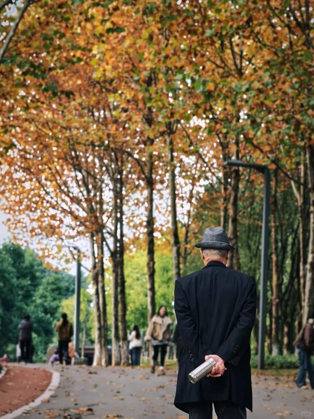 最高气温20℃！重庆人快来这些公园晒太阳