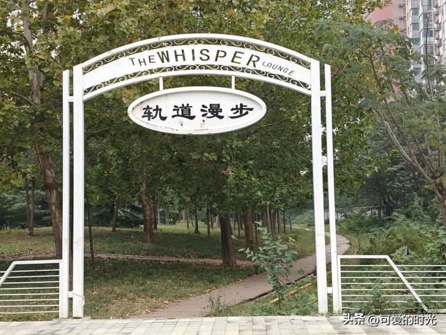 寻趣石家庄——光华路上的绿化带