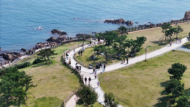 从“打卡”到“畅享”，小麦岛解锁假日惬意游
