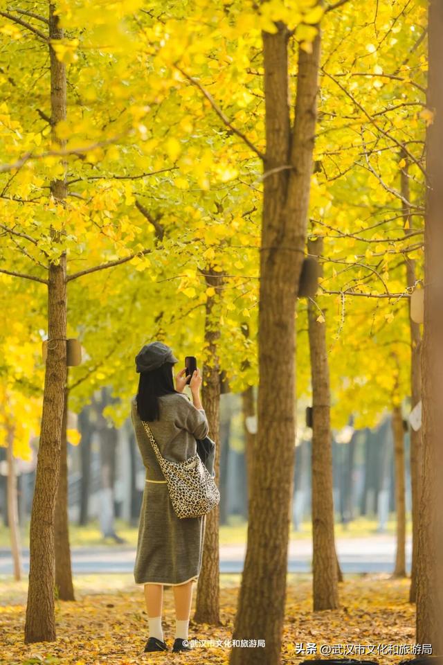 限时绝美！武汉街头颜值巅峰，地铁直达