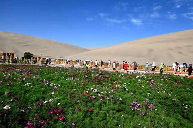 甘肃敦煌：“智”迎旅游高峰