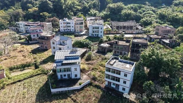 广东河源山环水绕的村庄，整个村子却无一人居住，村民到底去哪了