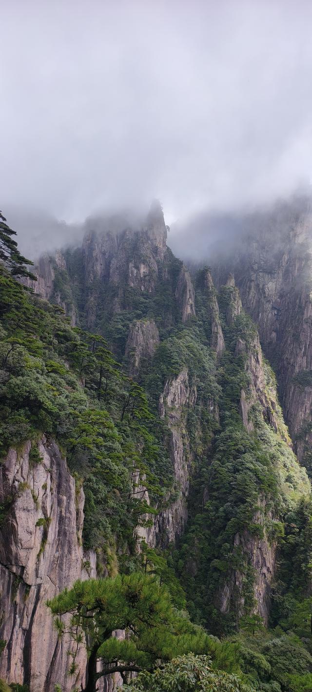 黄山记奇：从松谷庵到玉屏楼