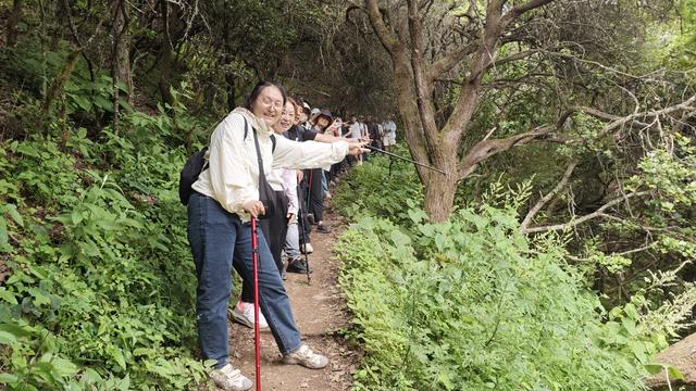 巴朗山盛夏行：把疲惫踩进大自然，让清风装满行囊​