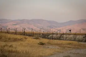 以色列宣布：成立一个新的师图片