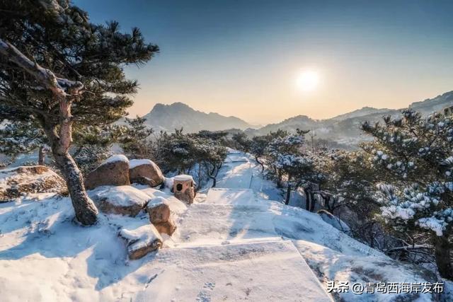 “冬游西海岸”!5条热门线路等你来🤩