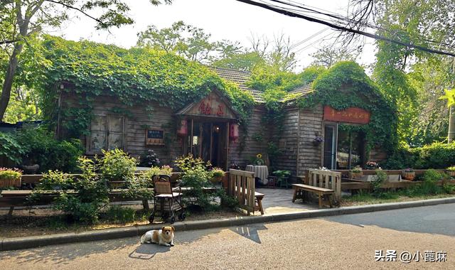 我的228 旅行日记 3——D3-11 我的大连9日 （下篇）