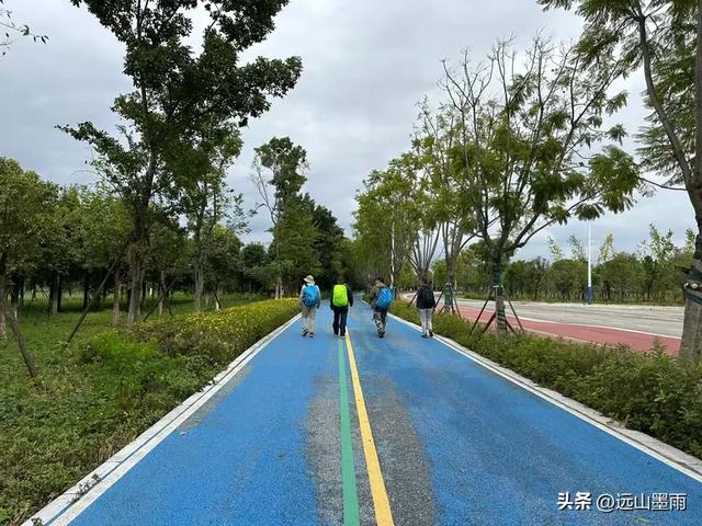 假日徒步，走昆明滇池草海之开合浮桥、雨中打卡新晋网红地，休闲