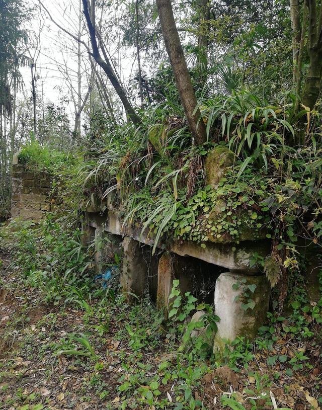 重庆巴南最高峰探秘，云海、古寨，拥有太多的自然奇观与历史古迹