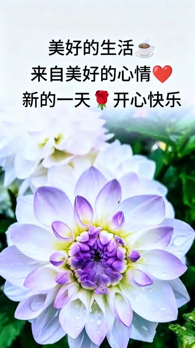 2025年9月16日早上好 早上好温馨问候语 早安精美淡雅图片 周二愉快