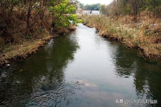 小丹河(老坝河水库西段)立冬那天的风光