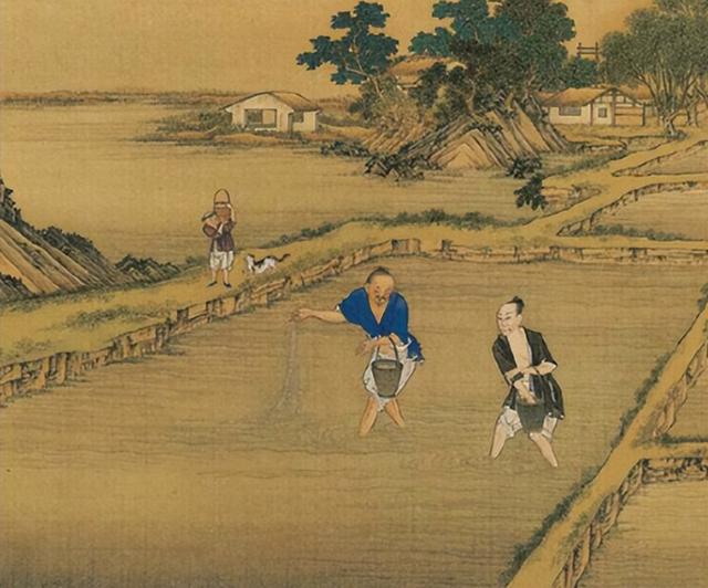 编第六甲，"胡昌盛户"的性质转变，奉新骈臻胡氏的户籍变迁史