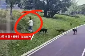 母女公园遭四条恶犬撕咬后续：伤势严重，狗主人态度十分嚣张。图片