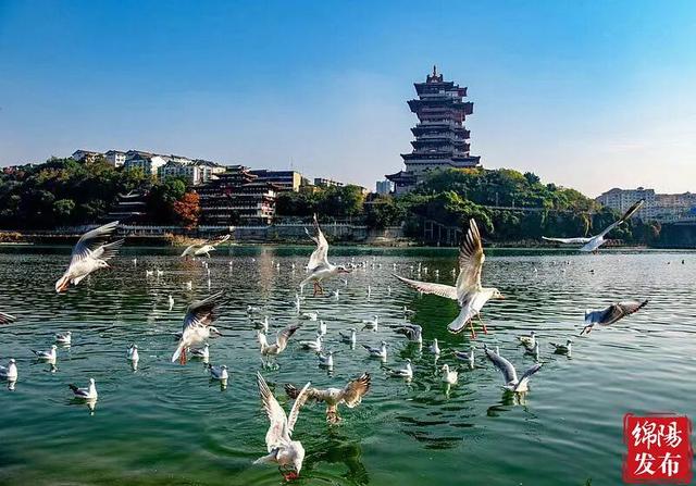 让“诗和远方”的“向往”更加灿烂