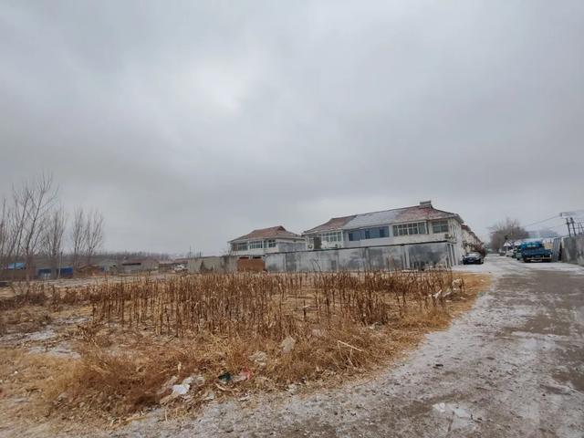 雪中探访德州城南村庄——三七村，一个跟中草药没有关系的村庄