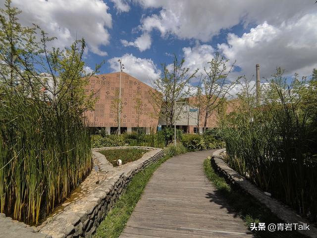 触摸砂纸质感鲸皮，见证恐龙生死搏斗，这座博物馆让孩子爱上自然