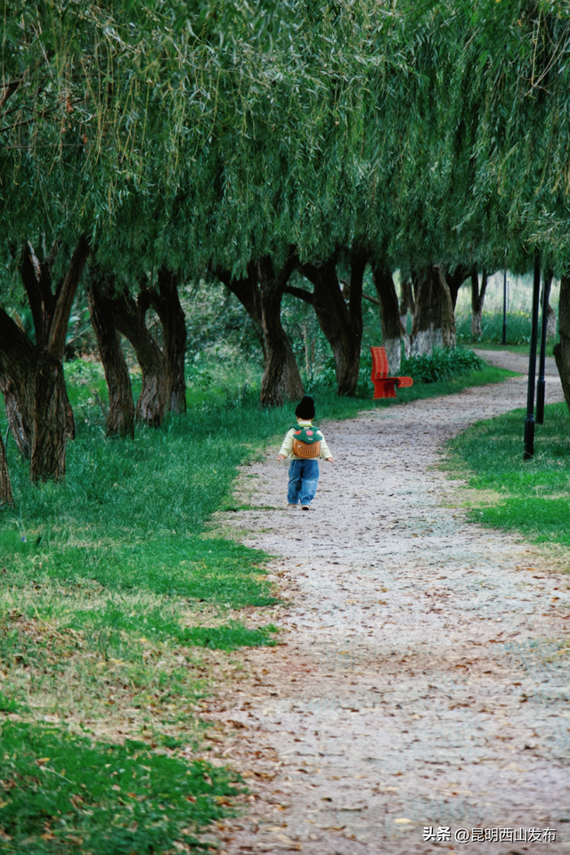 太仙啦！西山秋日必逛的宝藏公园，第一个就“美到心巴”