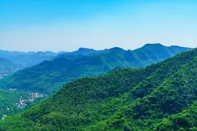 五下语文教案第四单元《青山处处埋忠骨》词句解析图片