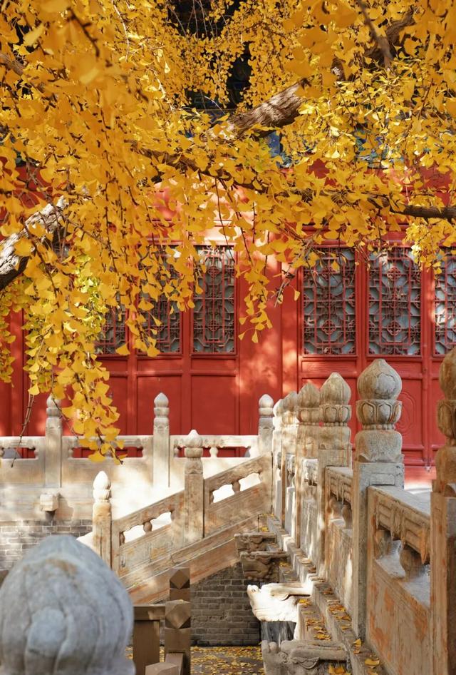 大理 ⇌太原 当凉鸡米线遇见打卤面