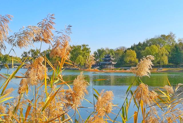 狂风散尽现碧空 北京市民陶然亭公园共赴“大风蓝”之约