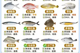 常见的20种海鱼图鉴，营养价值图鉴，食用指南图片