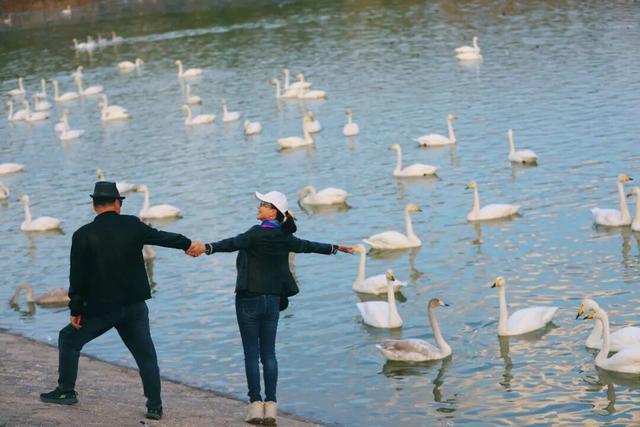 一湖初冬色，半城清欢美——三门峡苍龙湖的冬日盛景