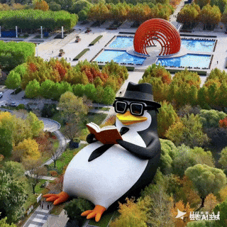 什么？！“高雅人士”来武清了？？