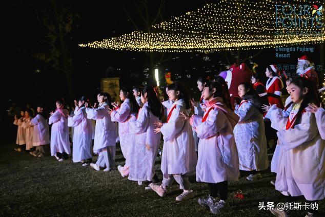 “爪爪心愿·暖冬童话夜”圣诞亮灯温情启幕萌宠与爱共绘冬日美好