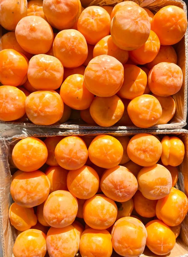 秋色满筐 早市上的色彩交响