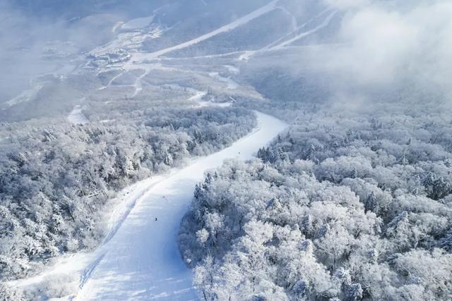 “雾凇之都”新雪季全剧透来啦→